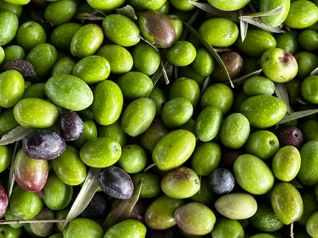 Humus z ciecierzycy