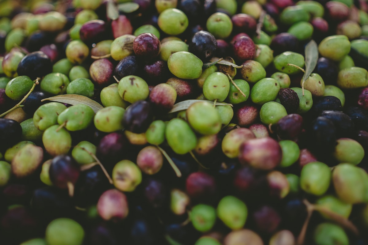Mezzah z oliwkami